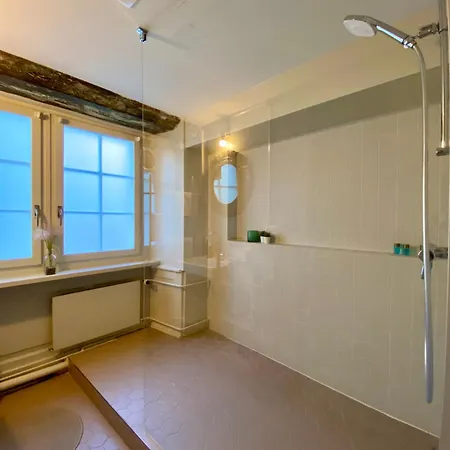 Goethe House In Old Town Apartman