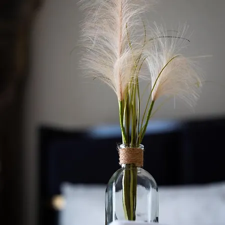 Apartment Goethe House In Old Town