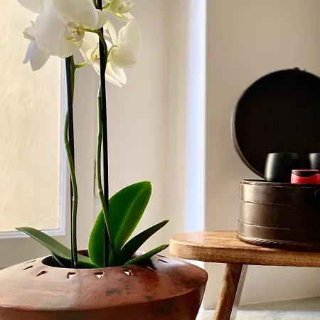 Goethe House In Old Town Apartament *