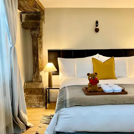 Apartment Goethe House In Old Town Zurich