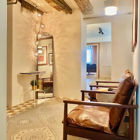 Goethe House In Old Town Apartment Zurich