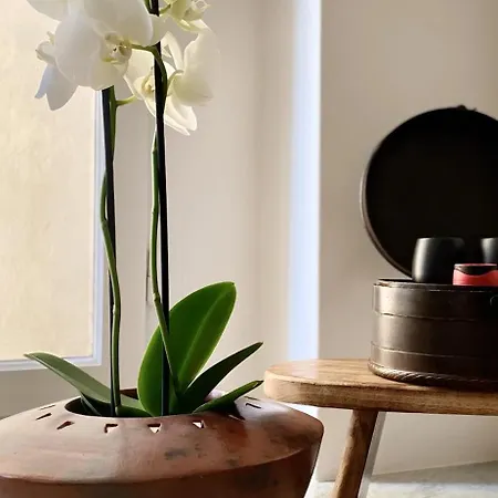 Apartamento Goethe House In Old Town Zurique