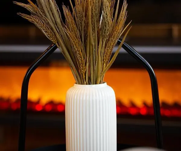 Goethe House In Old Town Apartman Zürich