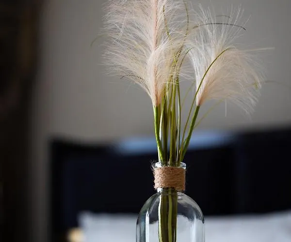 Апартаменты Goethe House In Old Town