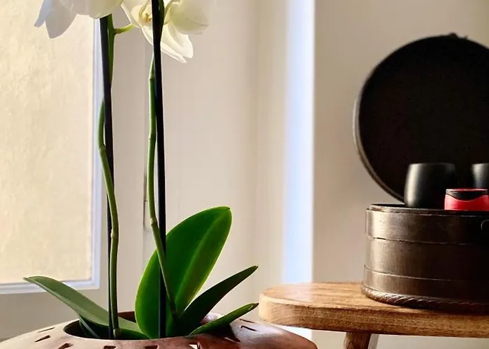 Goethe House In Old Town Apartman *