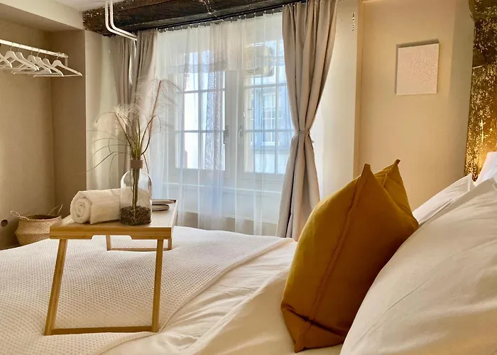 Apartment Goethe House In Old Town Zurich