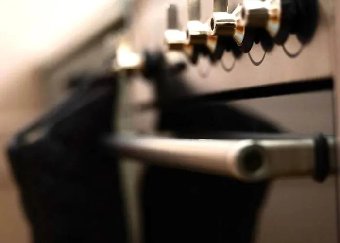 Goethe House In Old Town * ציריך